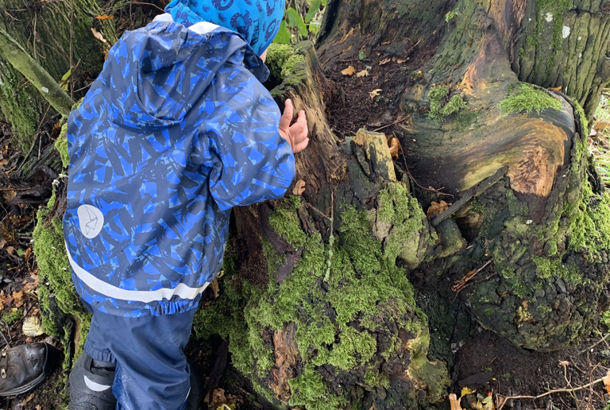 Forløb om eventyr for 0-4 årige i skoven