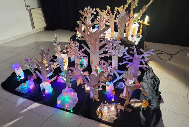 Lysvæsner i skyggeskov