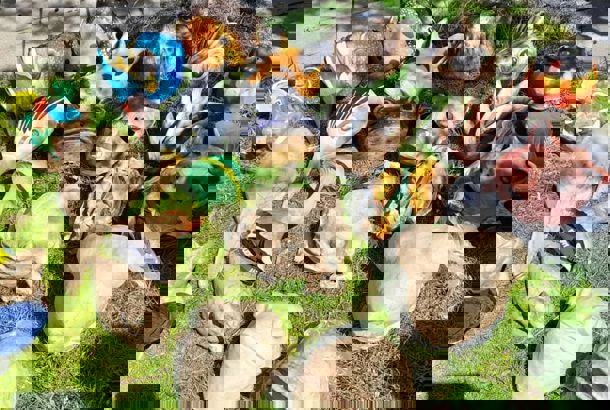 meditation i tilblivelsen af flagermus