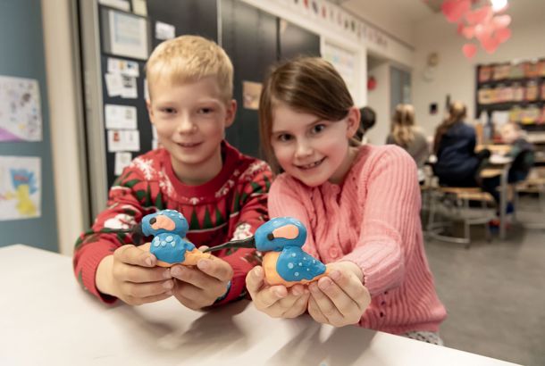 modellering af isfugle